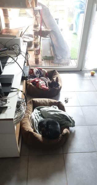 Foto dell'alloggio
