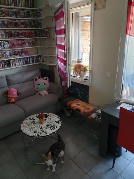 Foto dell'alloggio