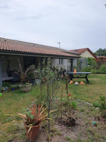 Foto dell'alloggio