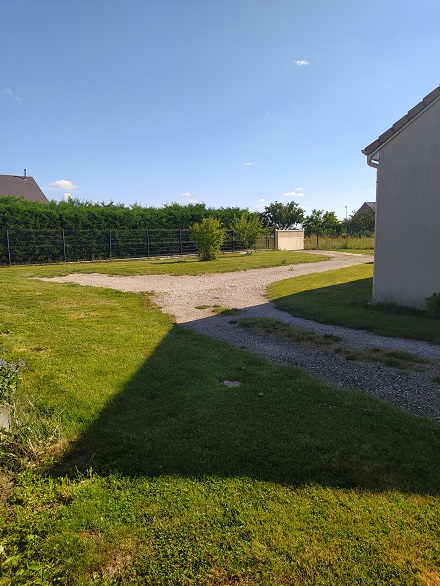 Foto dell'alloggio
