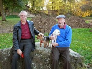 Foto dell'alloggio