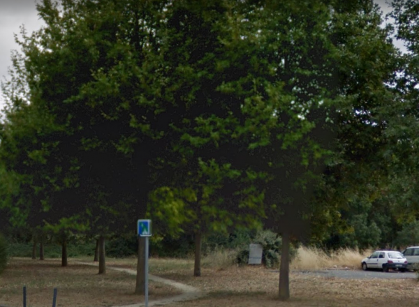 Foto dell'alloggio