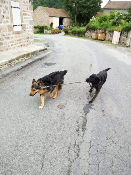 Foto dell'alloggio