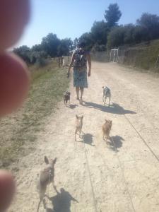 Foto dell'alloggio