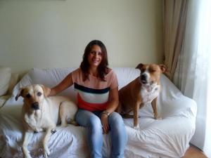 Foto dell'alloggio