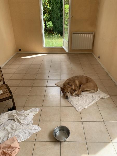Foto dell'alloggio