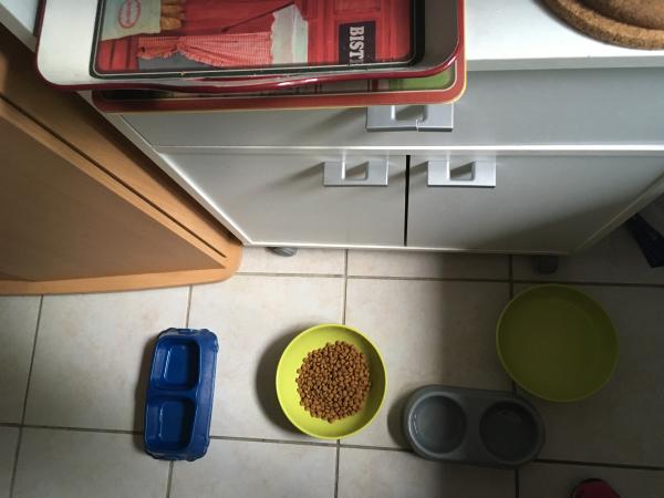 Foto dell'alloggio