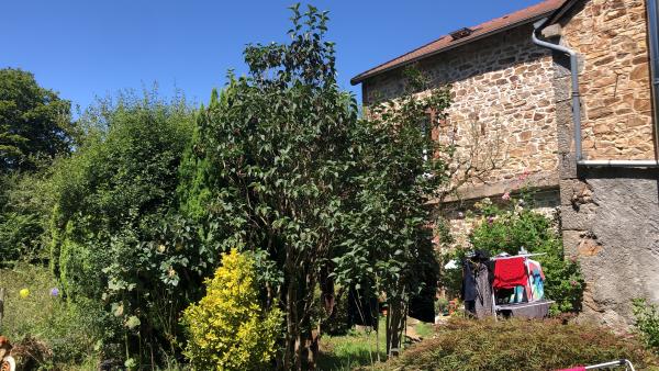 Foto dell'alloggio