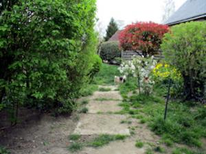 Foto dell'alloggio