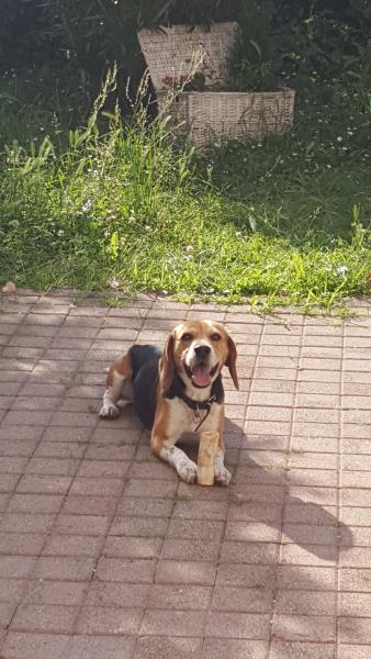 Foto dell'alloggio