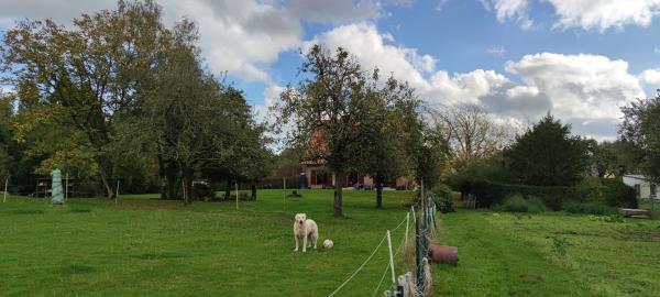 Foto dell'alloggio