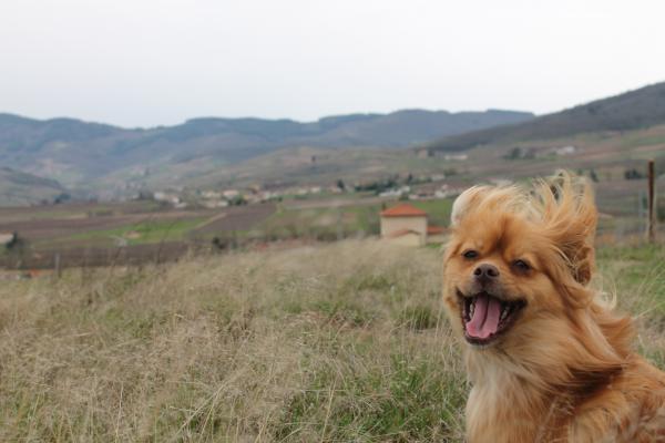 Foto dell'alloggio