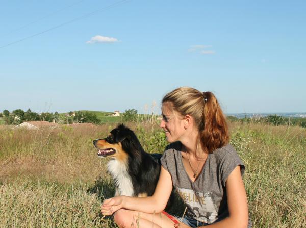 Foto dell'alloggio