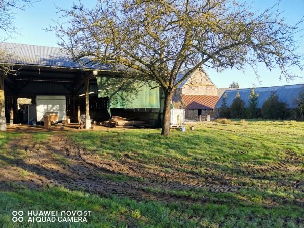 Foto dell'alloggio