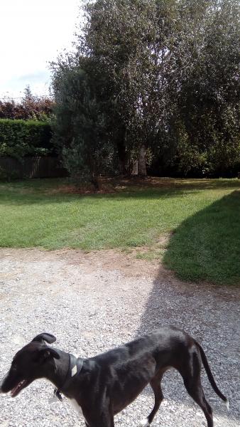 Foto dell'alloggio