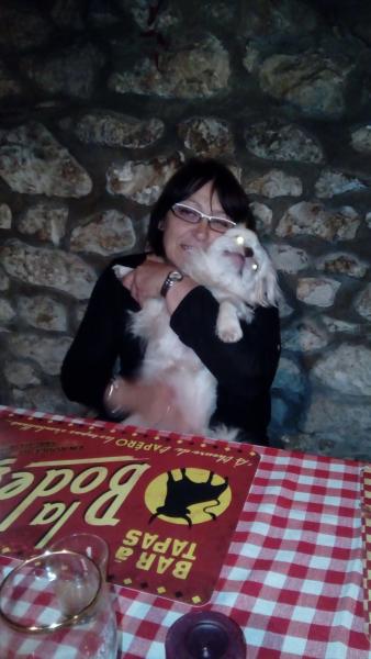 Foto dell'alloggio