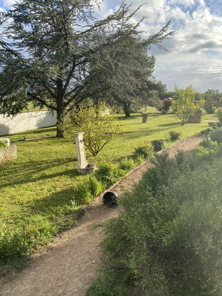 Foto dell'alloggio
