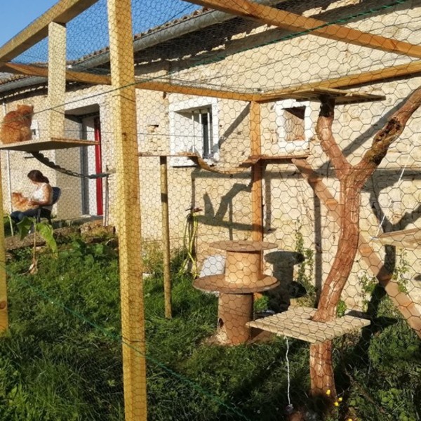 Foto dell'alloggio