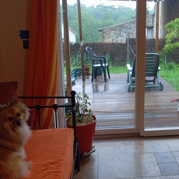 Foto dell'alloggio