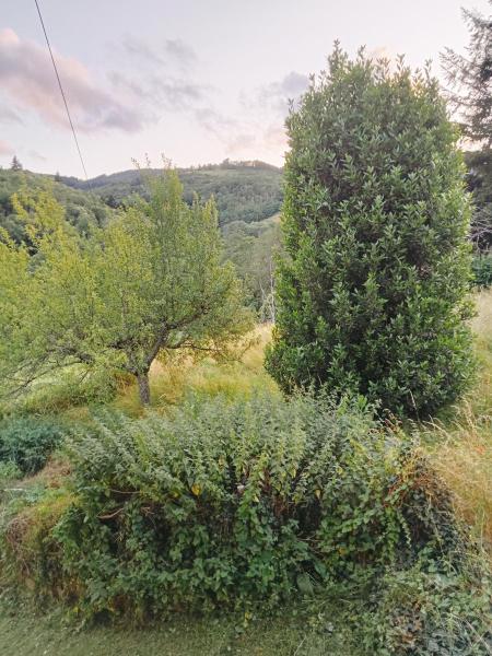 Foto dell'alloggio