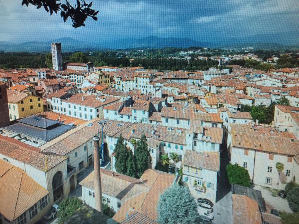Foto dell'alloggio