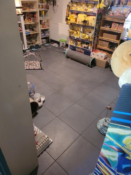 Foto dell'alloggio