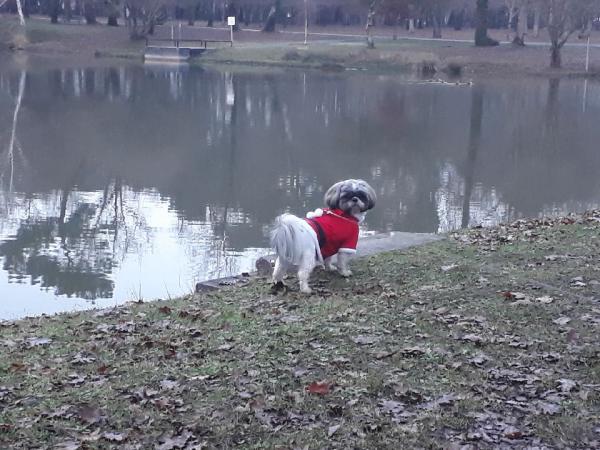 Foto dell'alloggio