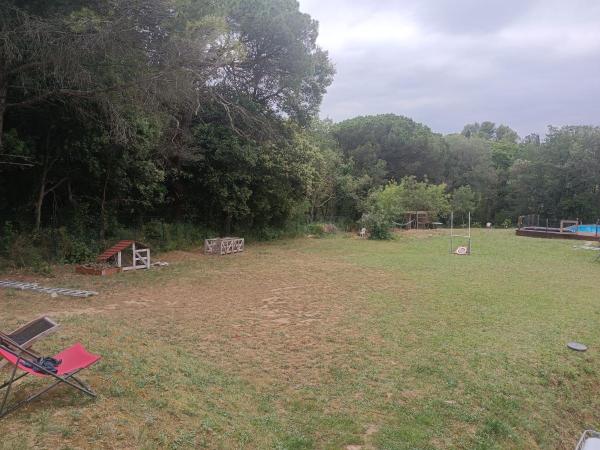 Foto dell'alloggio