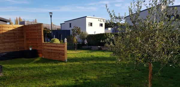 Foto dell'alloggio