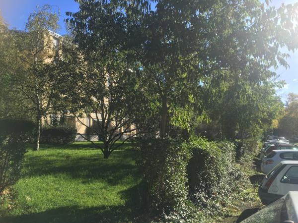 Foto dell'alloggio