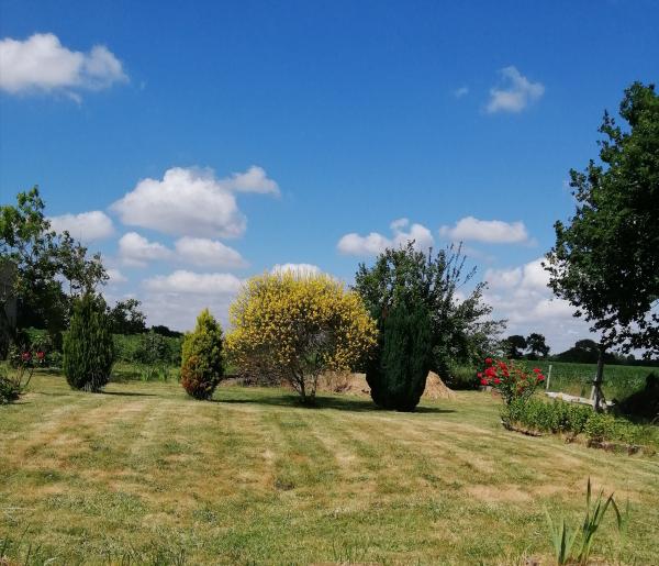 Foto dell'alloggio