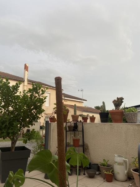 Foto dell'alloggio