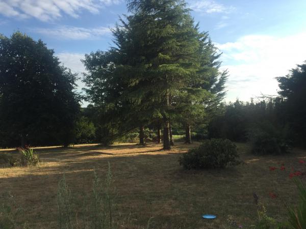 Foto dell'alloggio