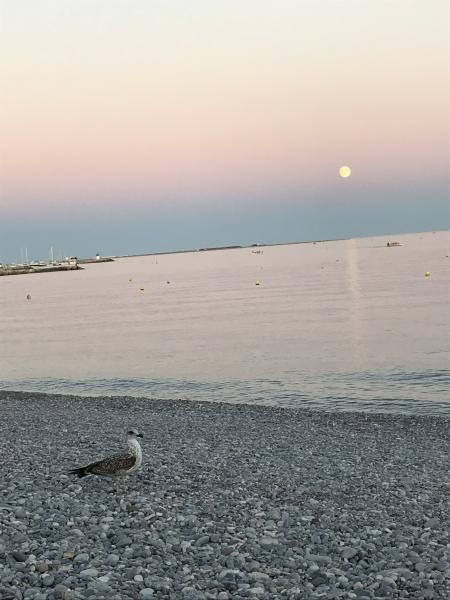 Foto dell'alloggio