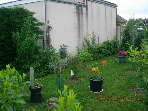 Foto dell'alloggio