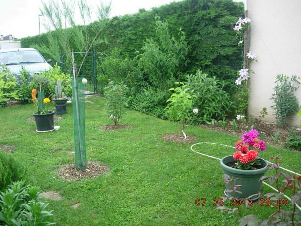 Foto dell'alloggio