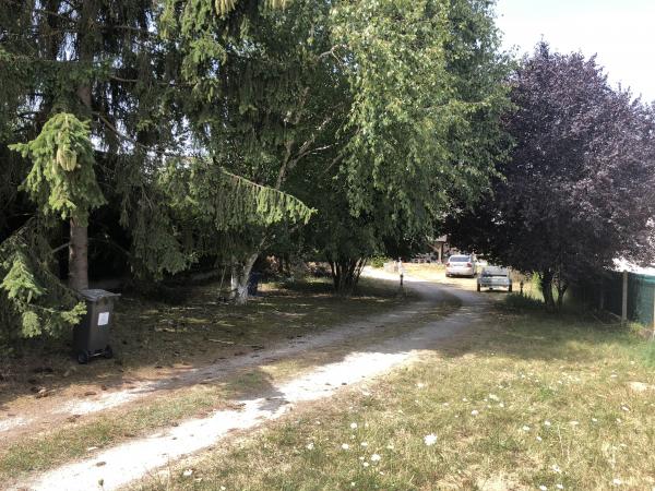 Foto dell'alloggio
