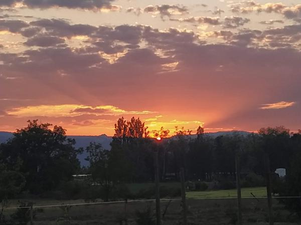 Foto dell'alloggio