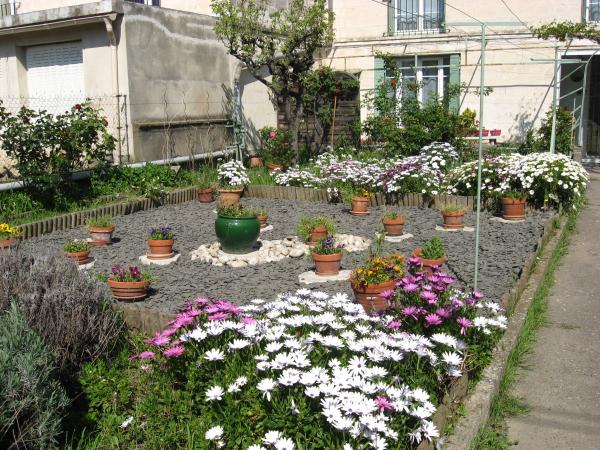 Foto dell'alloggio
