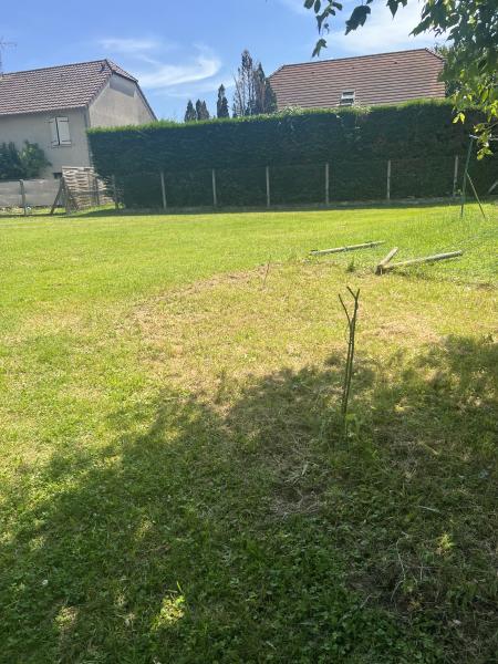Foto dell'alloggio