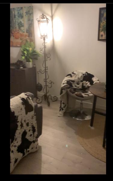 Foto dell'alloggio