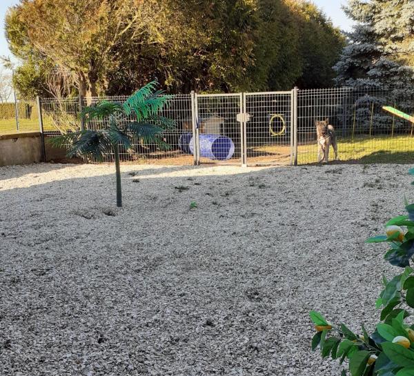 Foto dell'alloggio