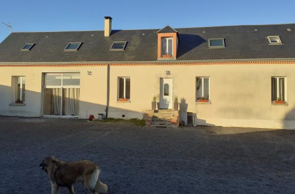 Foto dell'alloggio
