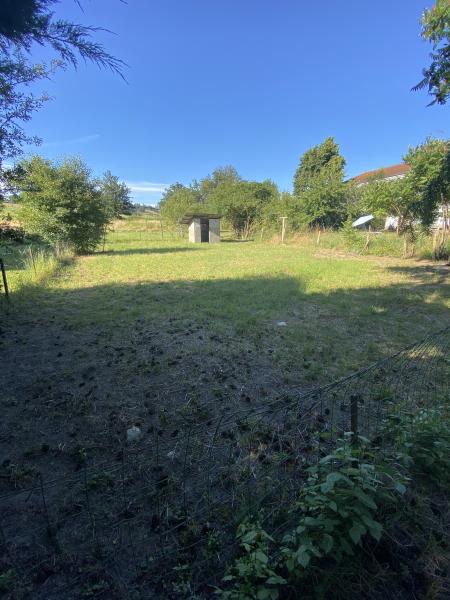 Foto dell'alloggio