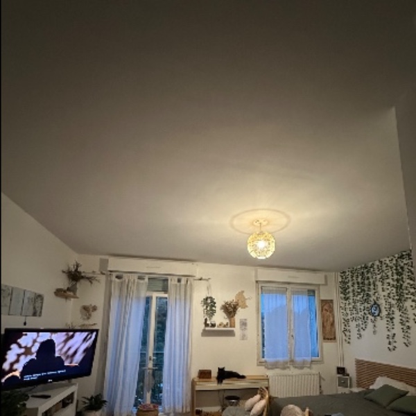 Foto dell'alloggio