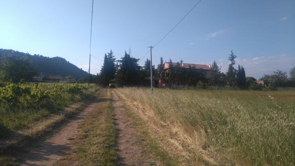 Foto dell'alloggio