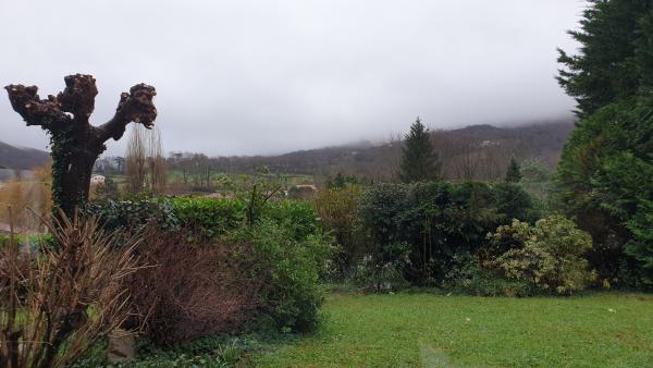 Foto dell'alloggio