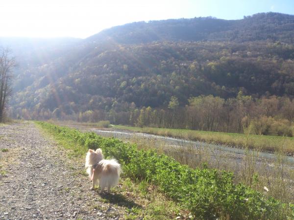 Foto dell'alloggio