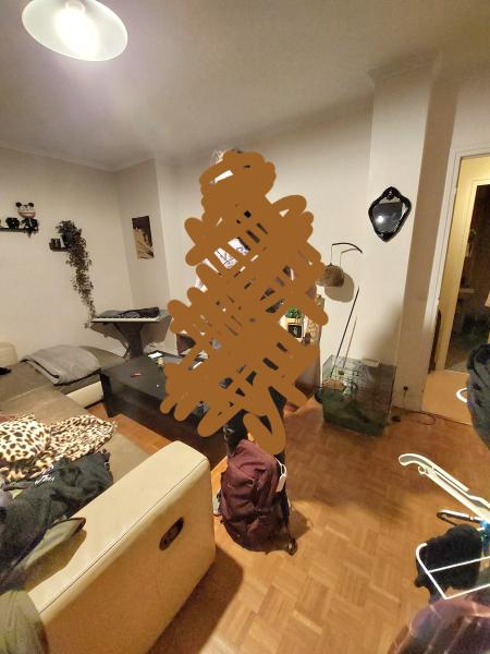 Foto dell'alloggio