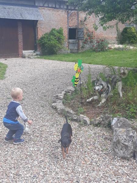 Foto dell'alloggio